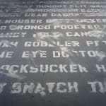 Frank Pietronigro Documents Installation, Text written in salt Variable dimensions 2012 Description: Derogatory words stenciled in salt on gallery floor.